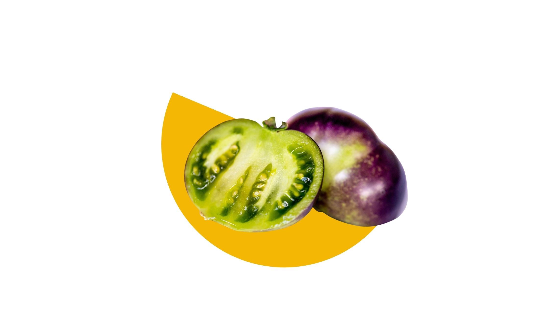Purple Tomatoes