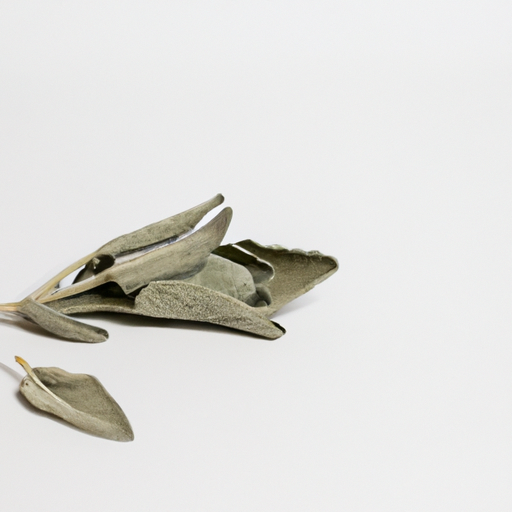 Sage, dry